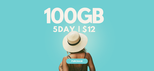 Data Pack - 100GB / 5 Days